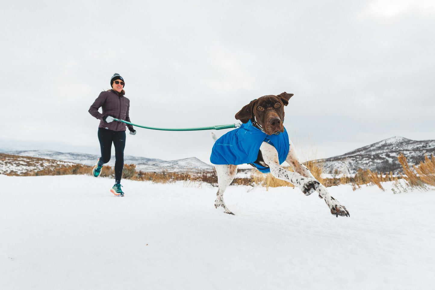 Ruffwear Vert Waterproof Dog Coat