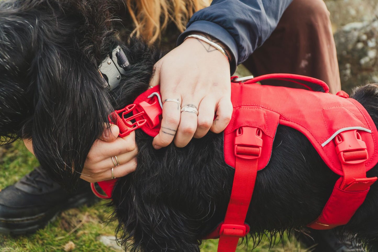 Ruffwear Web Master Harness