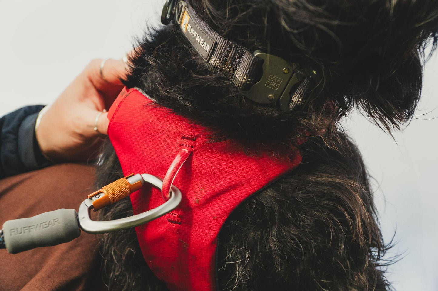 Ruffwear Web Master Harness