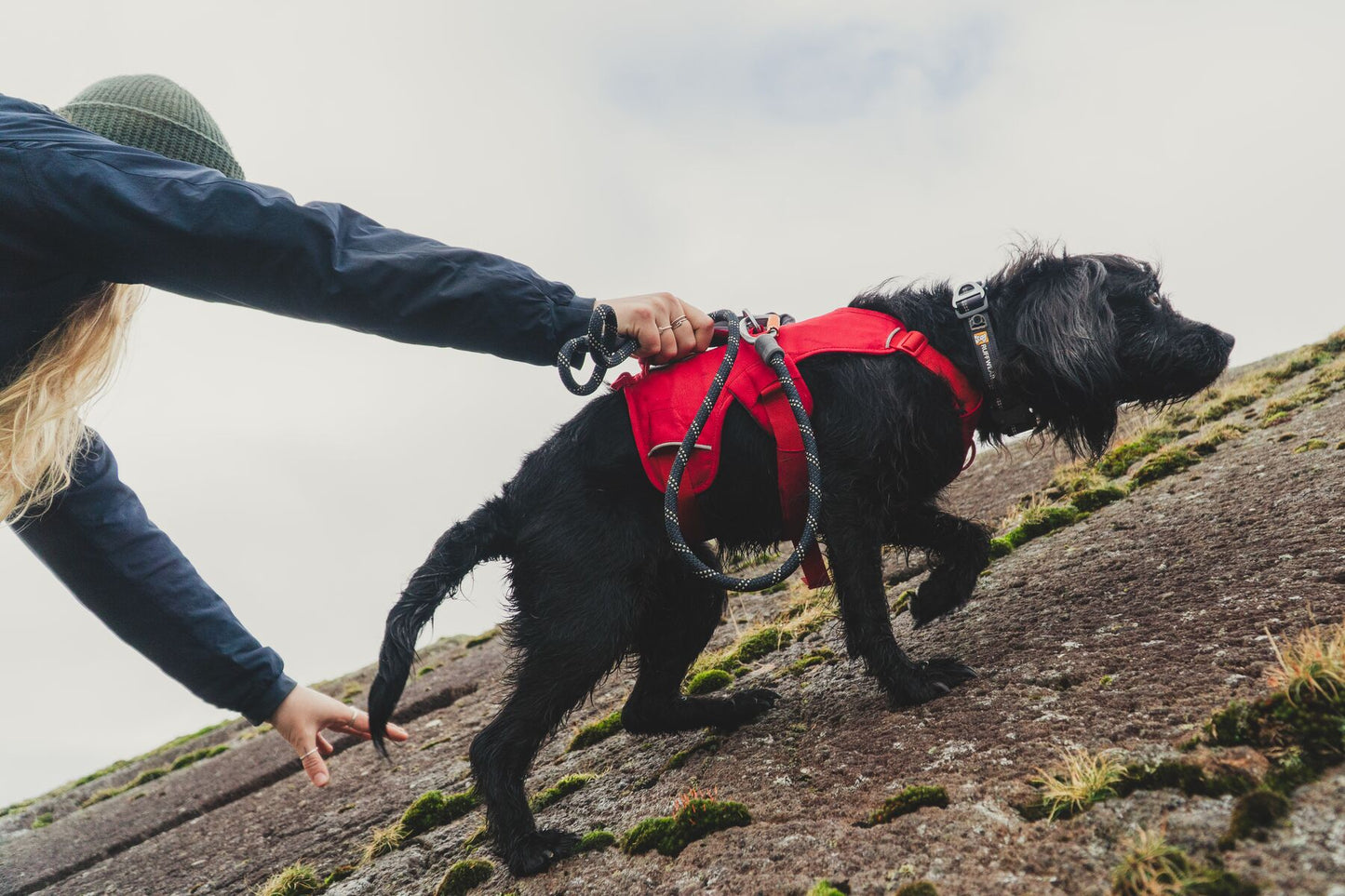 Ruffwear Web Master Harness