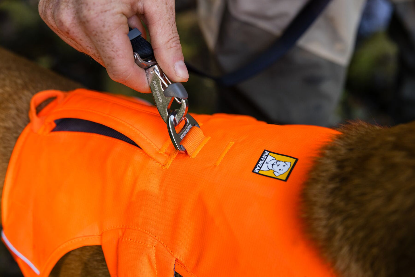 Ruffwear Web Master Harness