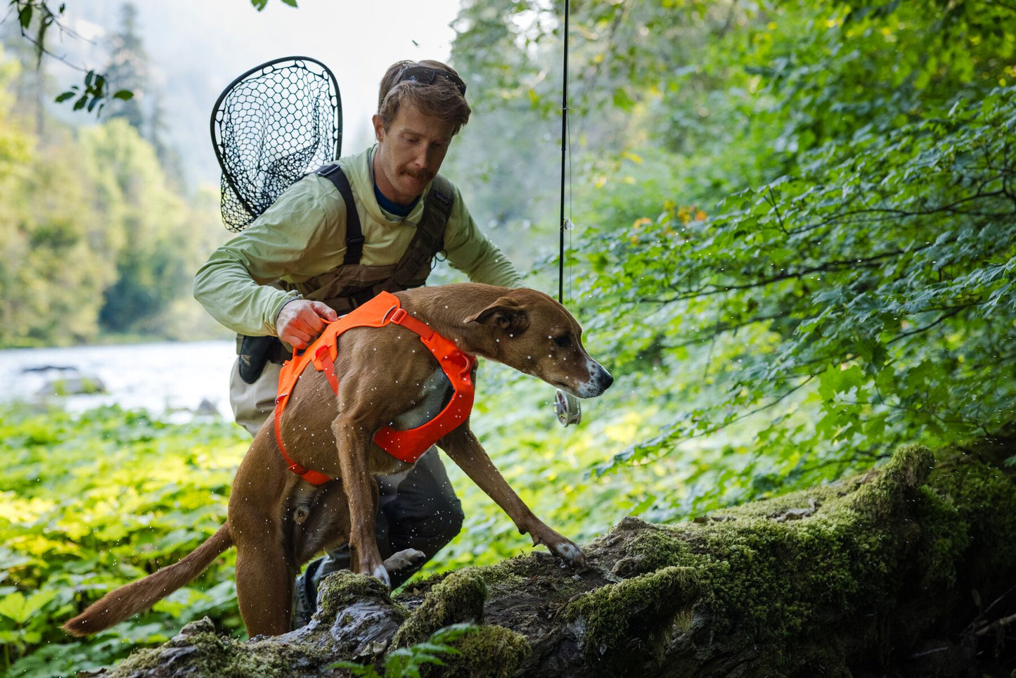 Ruffwear Web Master Harness