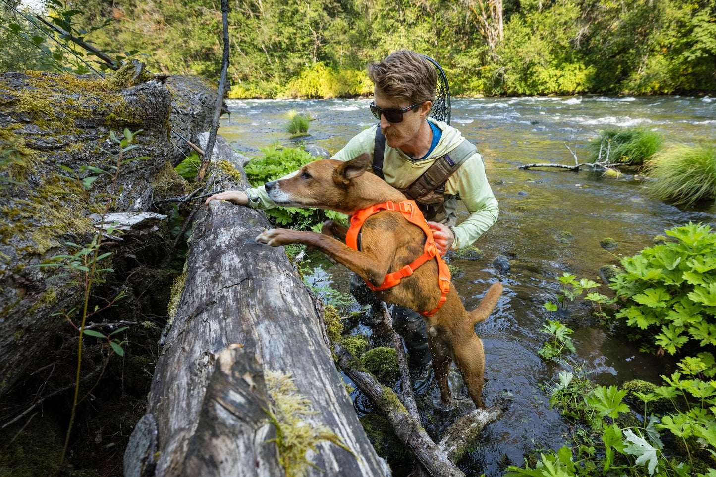 Ruffwear Web Master Harness