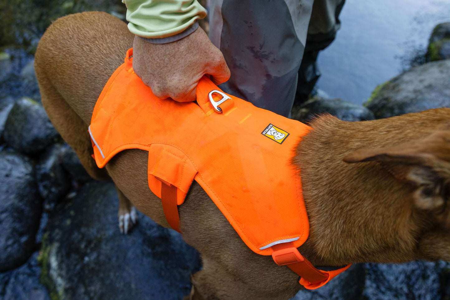 Ruffwear Web Master Harness