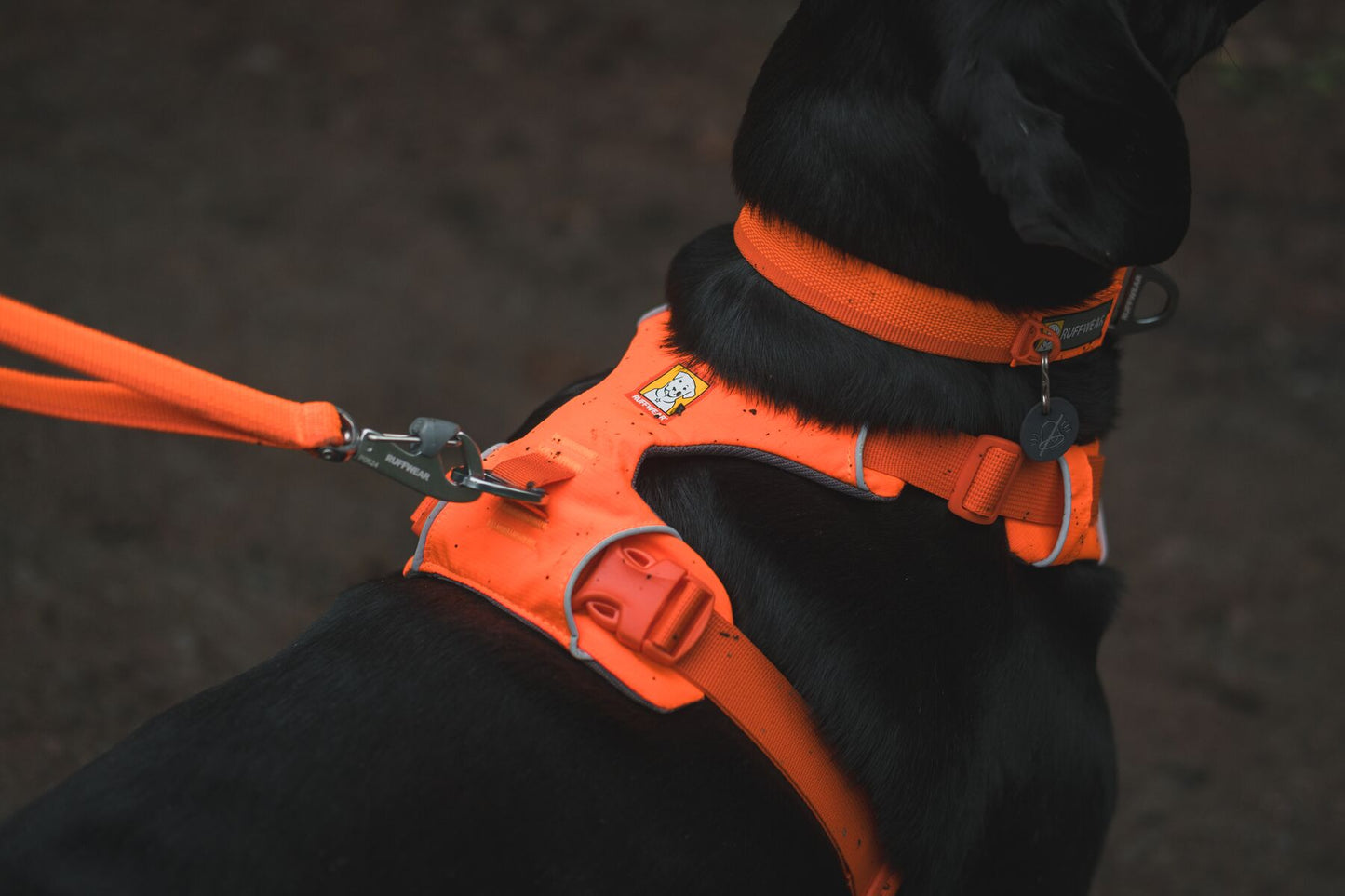 Ruffwear Front Range Harness