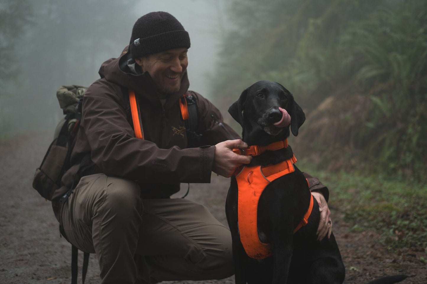 Ruffwear Front Range Harness