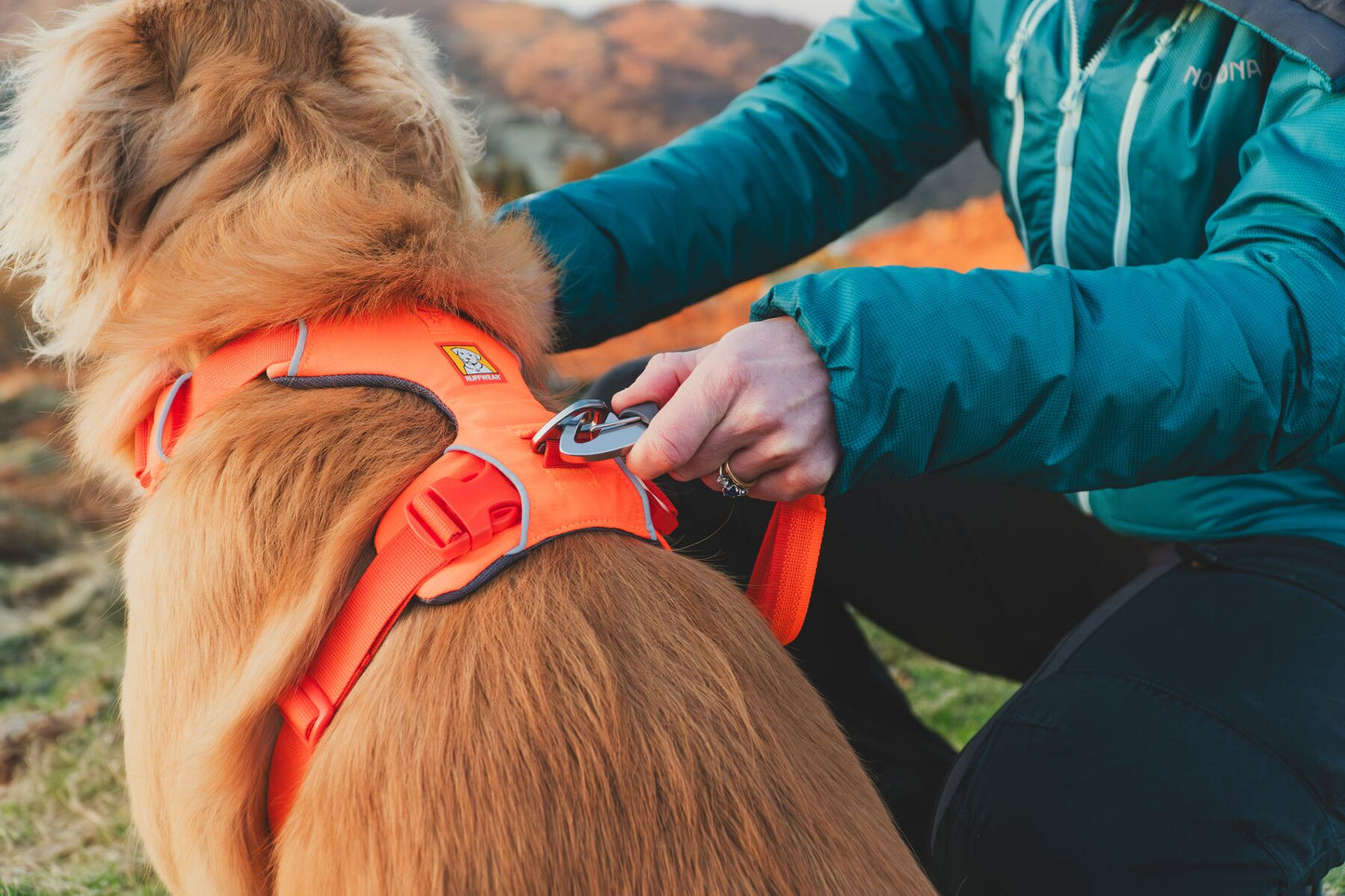 Ruffwear Front Range Harness