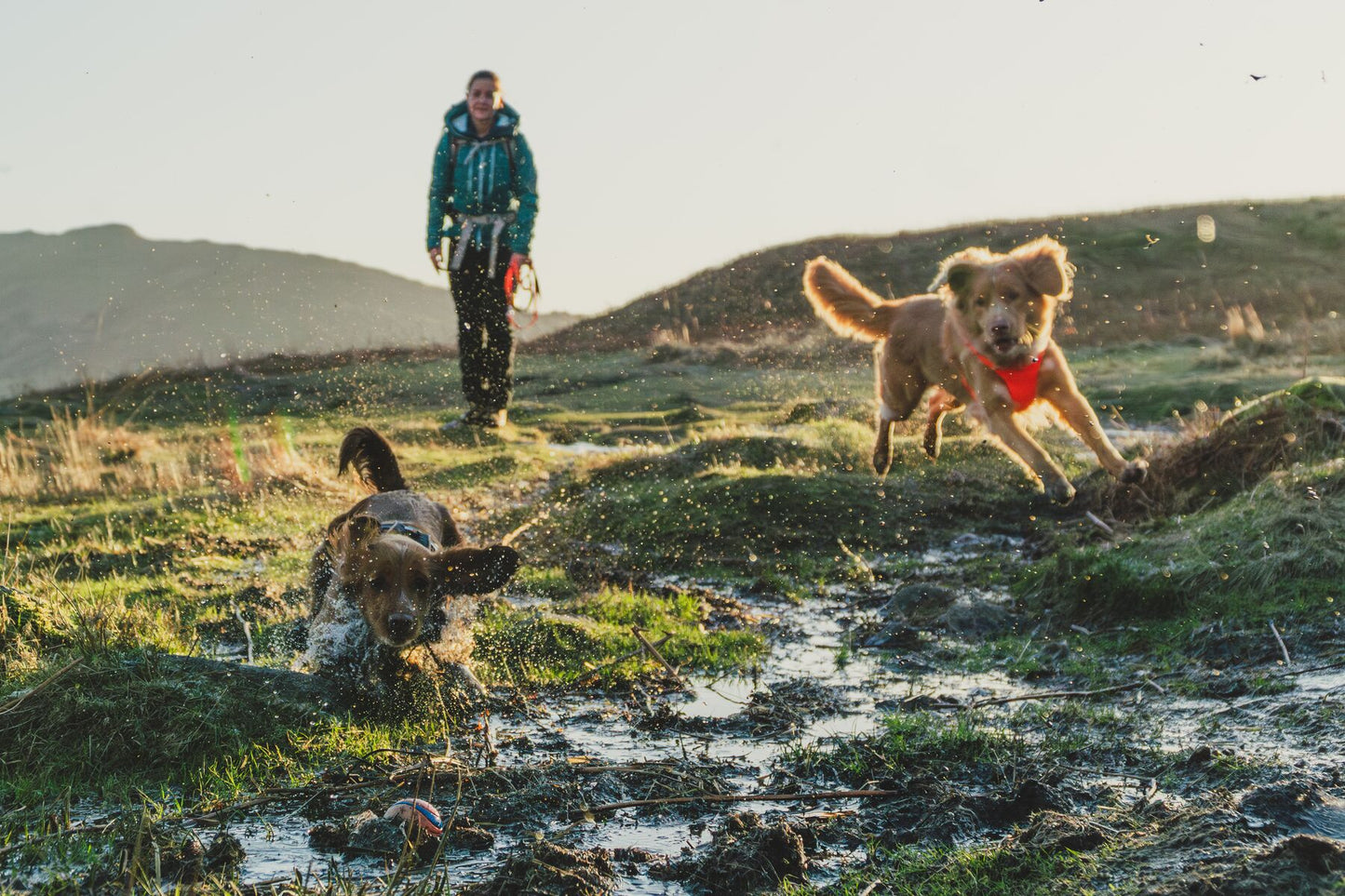 Ruffwear Front Range Harness