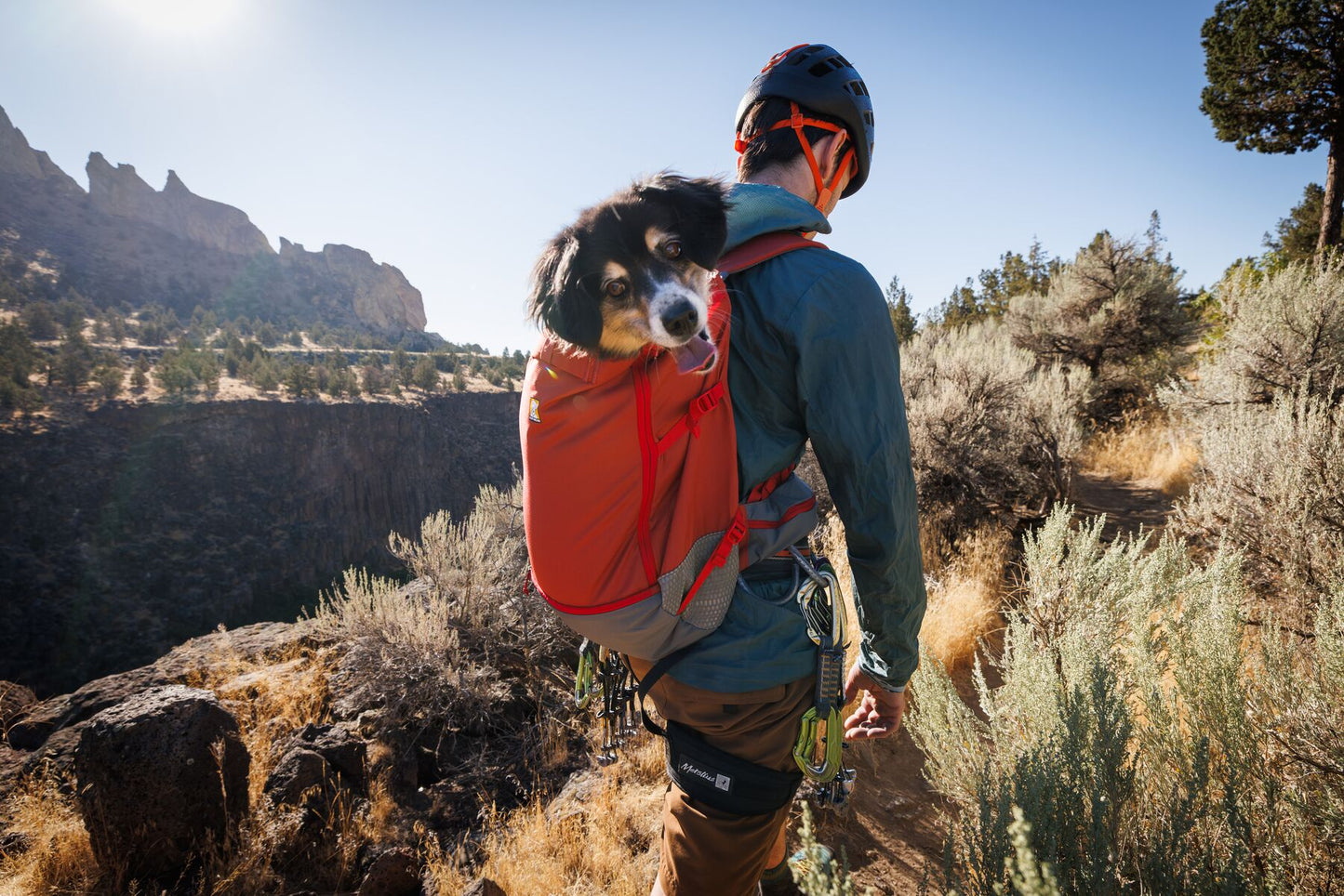 Hitch Hiker™ Dog Backpack Carrier