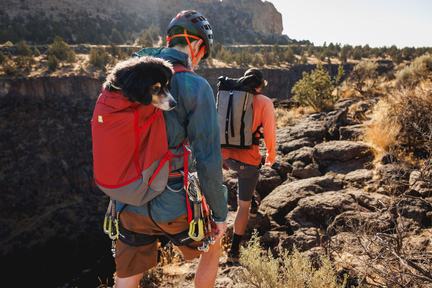 Hitch Hiker™ Dog Backpack Carrier