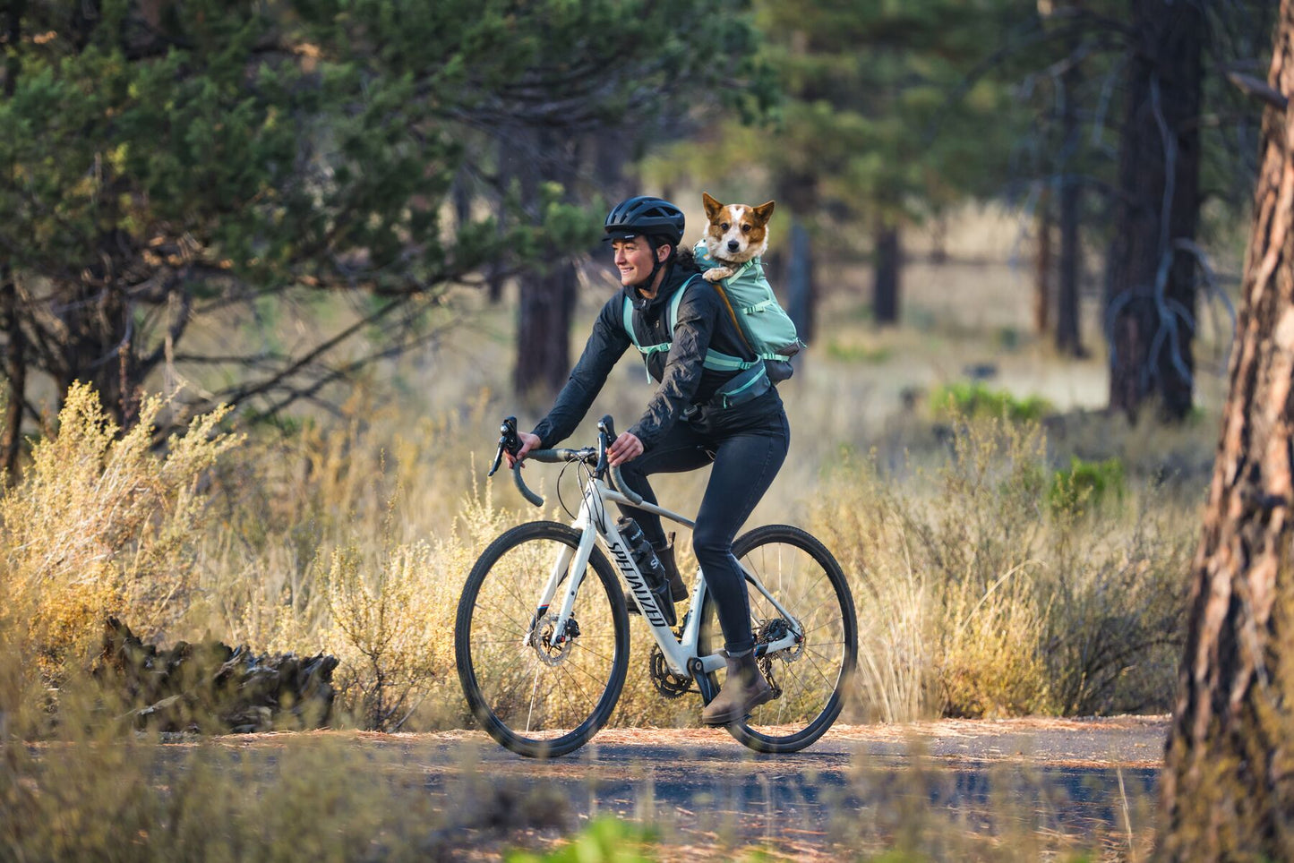 Hitch Hiker™ Dog Backpack Carrier