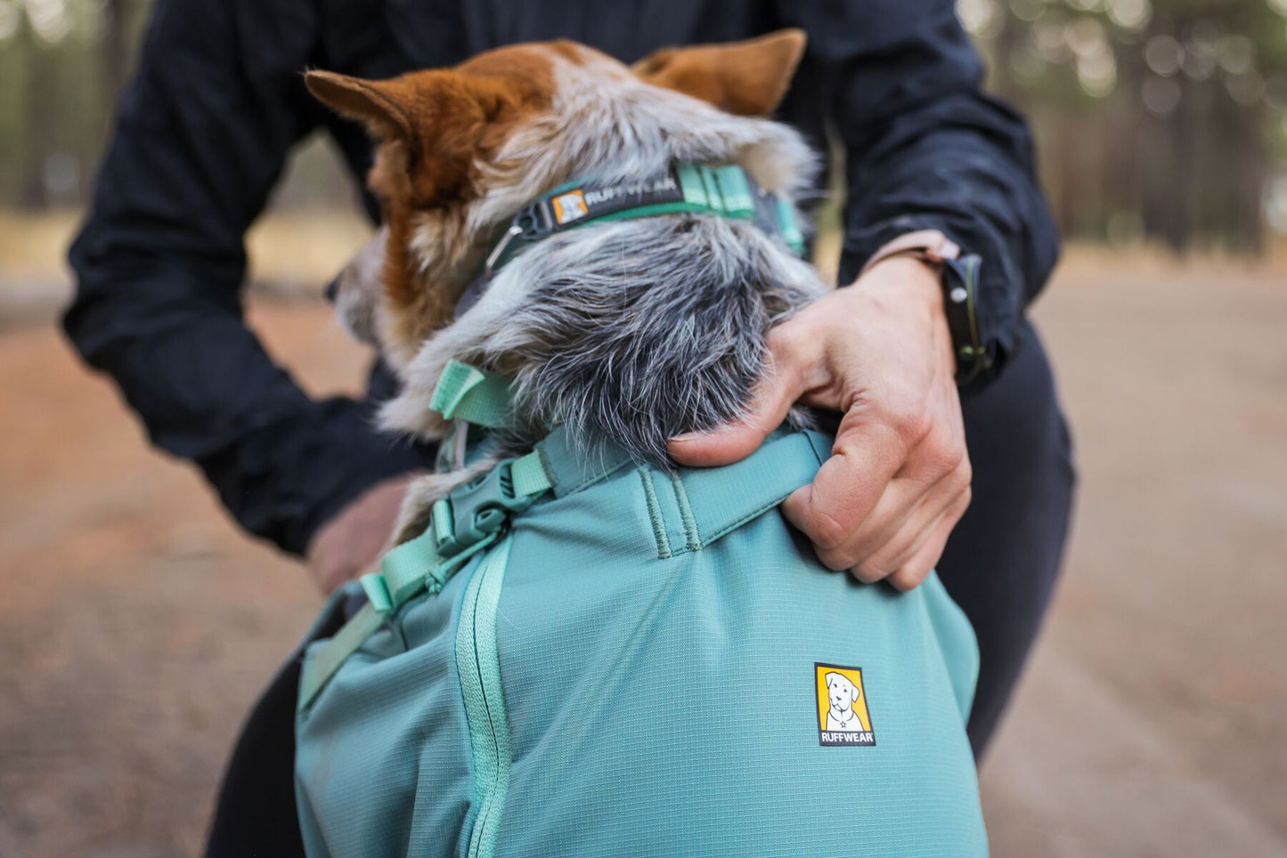 Hitch Hiker™ Dog Backpack Carrier