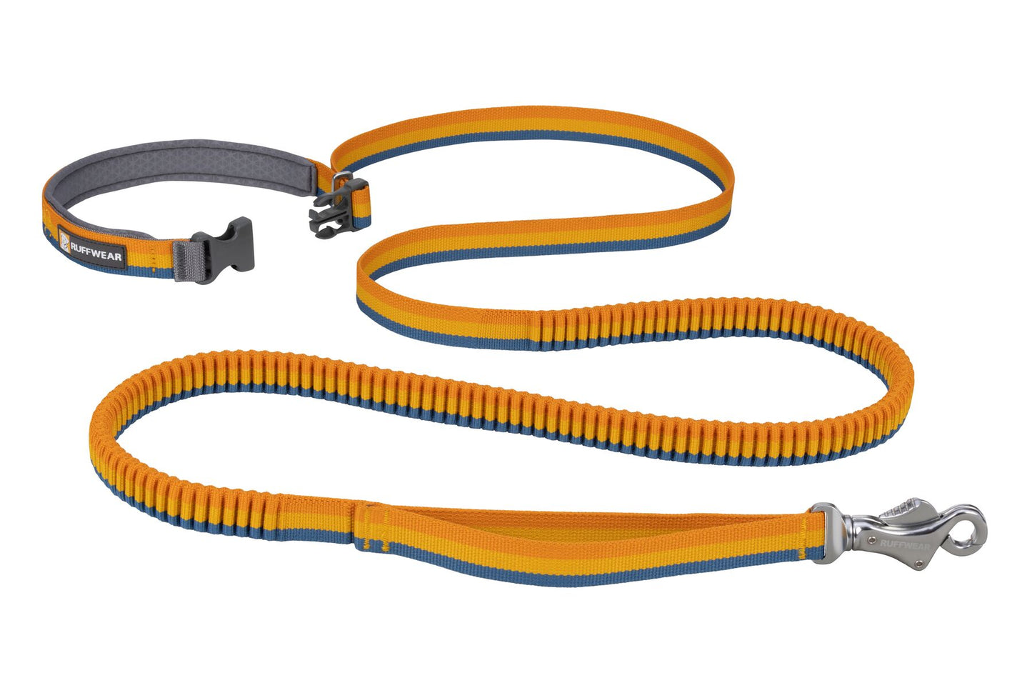 Roamer™ Bungee Dog Leash