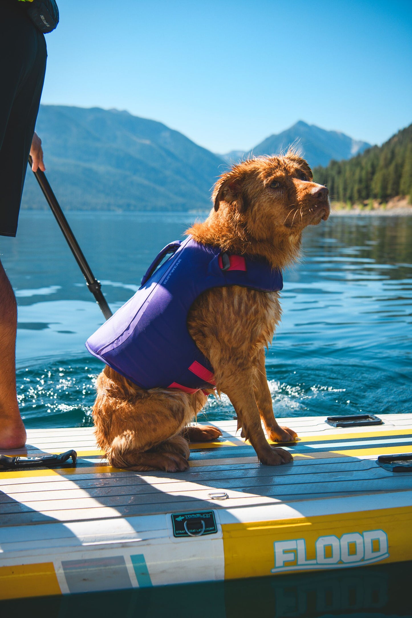 Float Coat Dog Life Vest