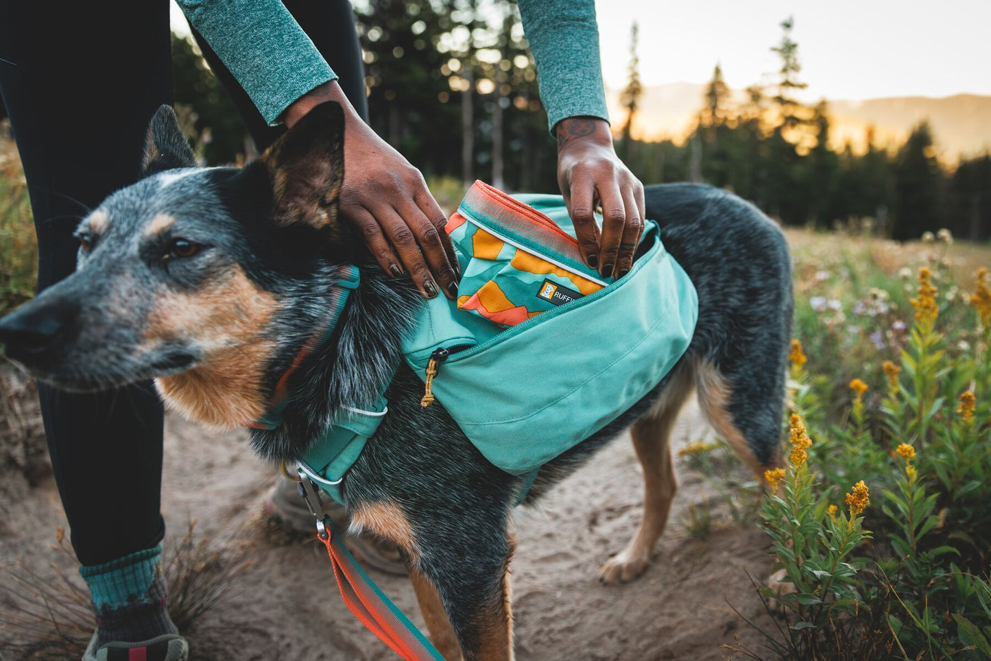 Ruffwear Front Range Day Pack