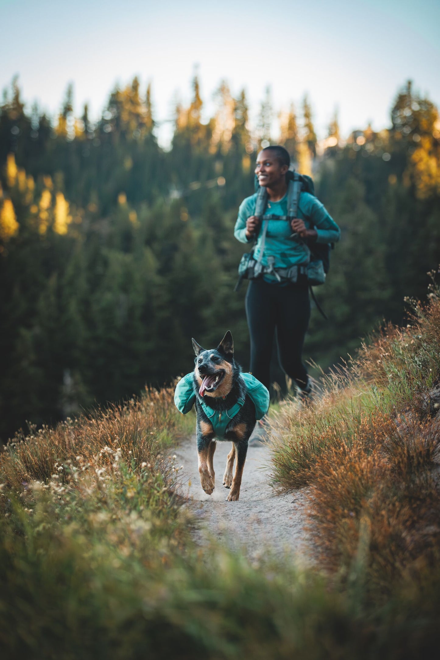 Ruffwear Front Range Day Pack