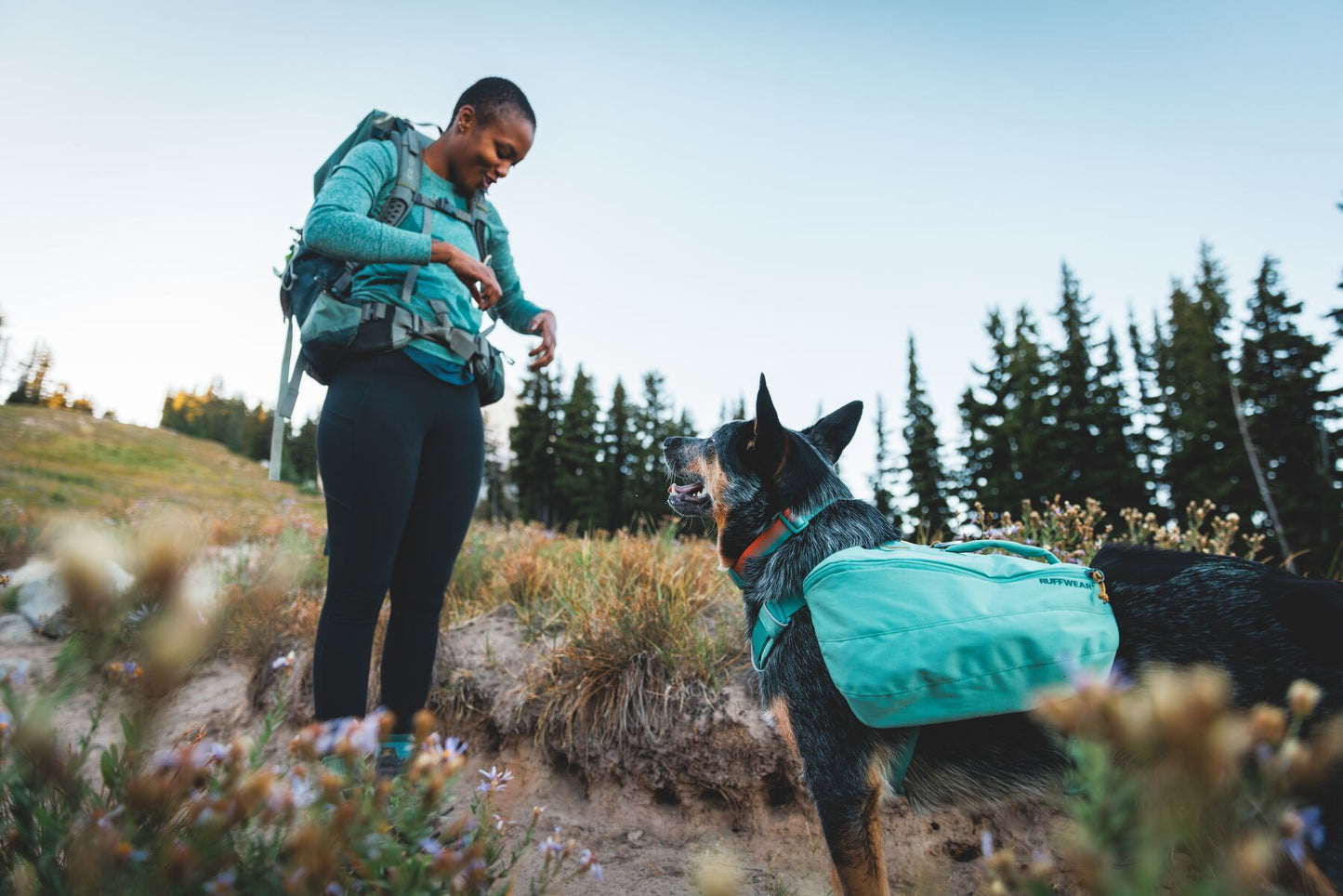 Ruffwear Front Range Day Pack