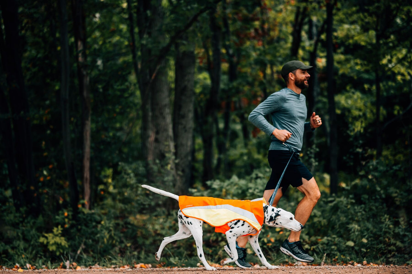 Lumenglow™ Hi-Vis Dog Jacket