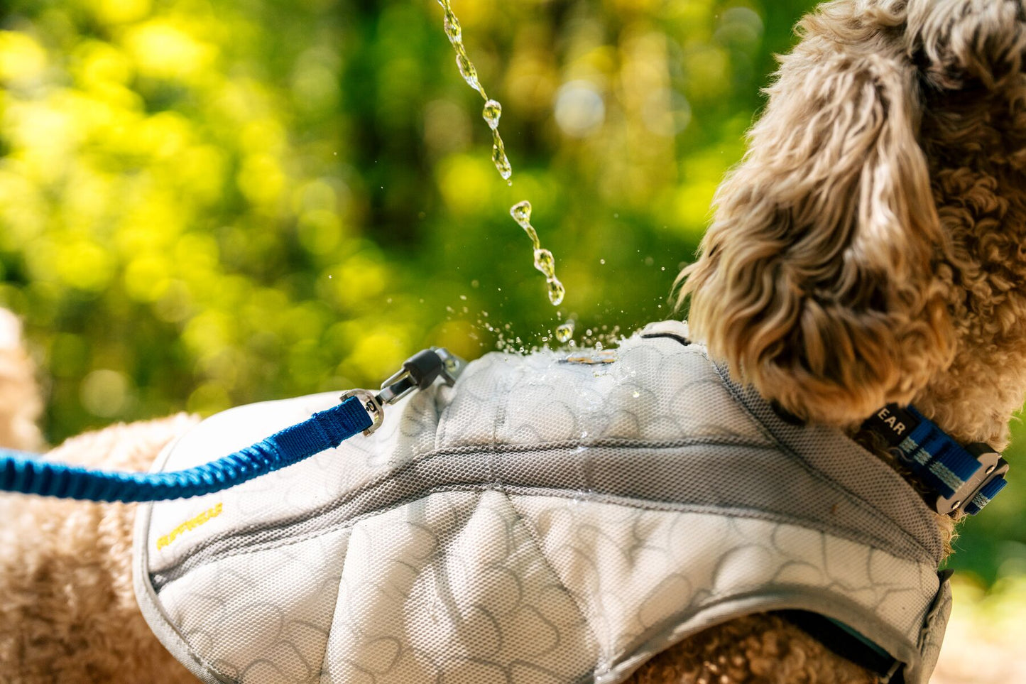 Ruffwear Swamp Cooler Dog Cooling Vest