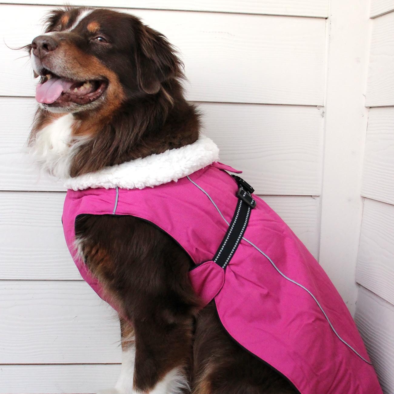 Alpine Tuf Terrain Dog Winter Coats