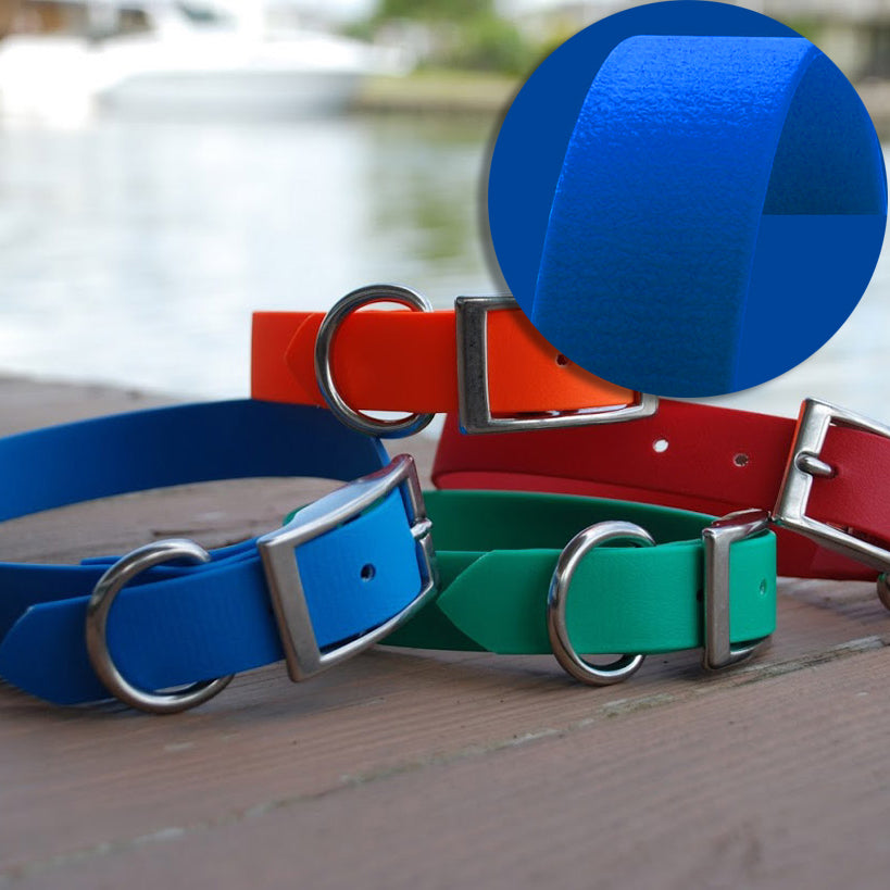 SaltyDog Saltwater Proof Stainless Steel Dog Collars