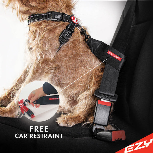 EzyDog Padded Chest Harness