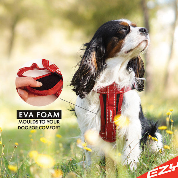 EzyDog Padded Chest Harness