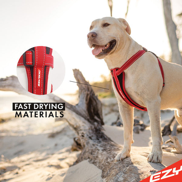 EzyDog Padded Chest Harness