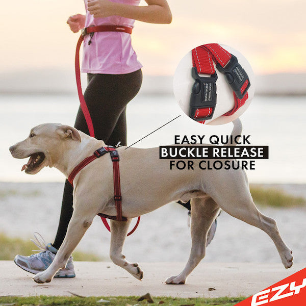 EzyDog Padded Chest Harness