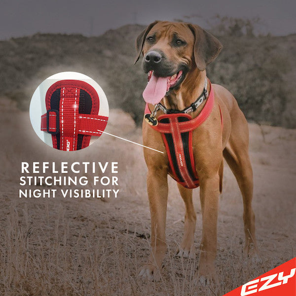 EzyDog Padded Chest Harness