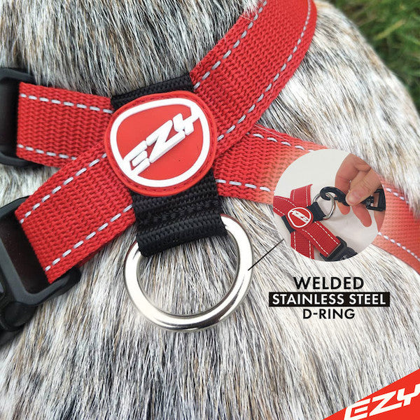 EzyDog Padded Chest Harness