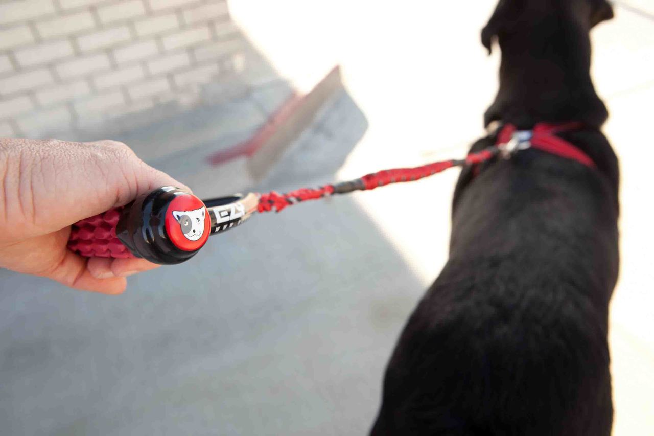 EzyDog Cujo Bungee Dog Leash