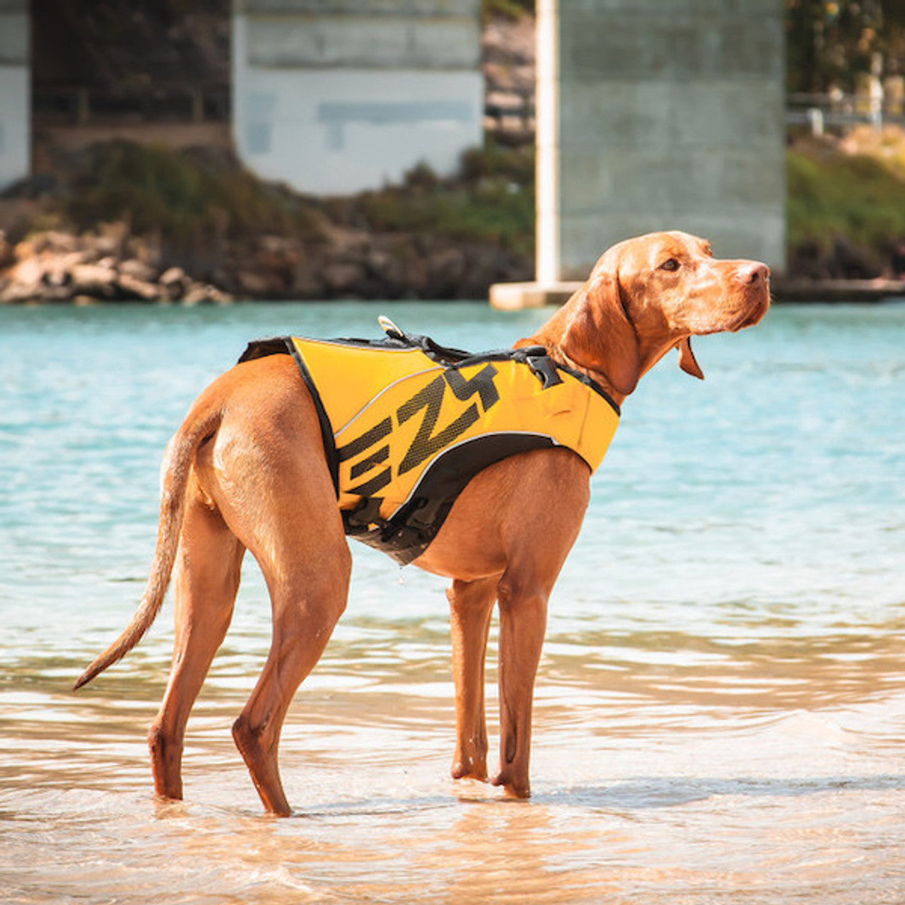 DFD X2 Boost Dog Life Vest