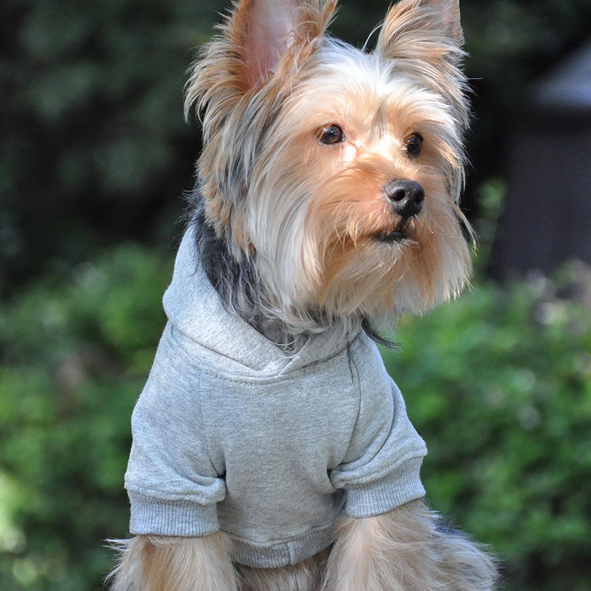 Dog Flex-fit Hoodies