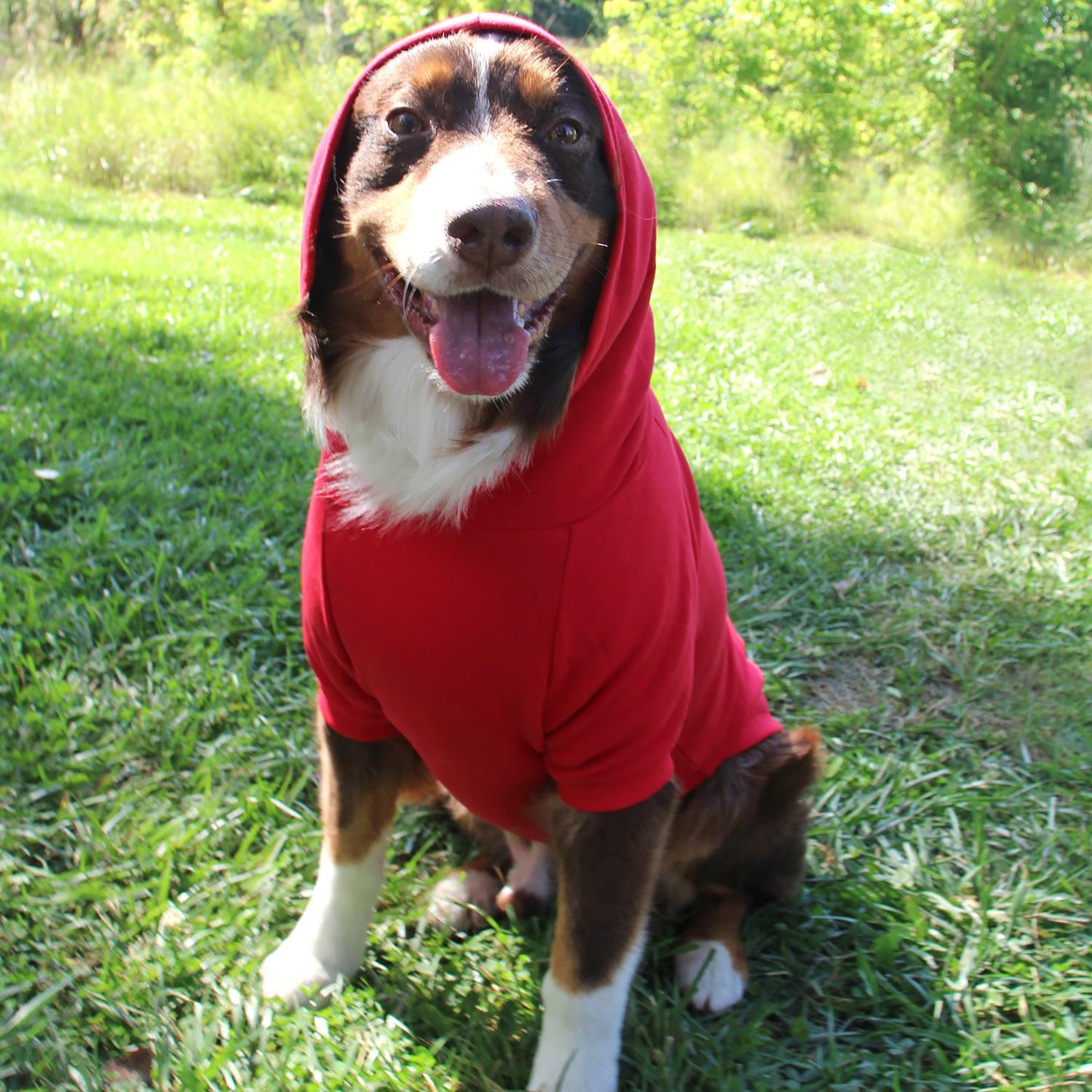 Dog Flex-fit Hoodies