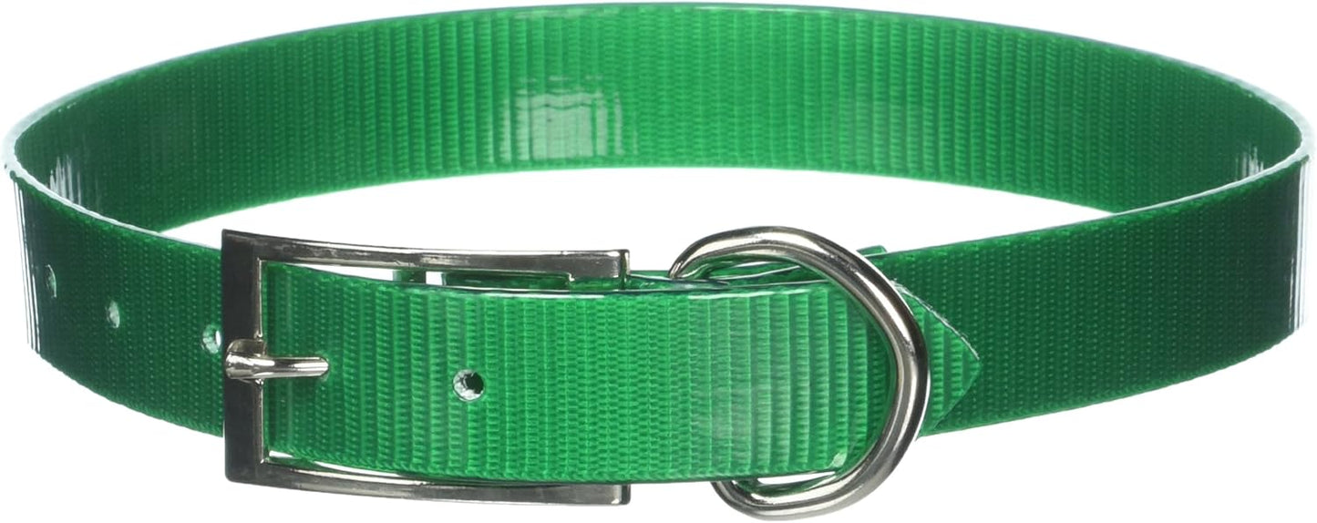 SunGlo Waterproof Dog Collars