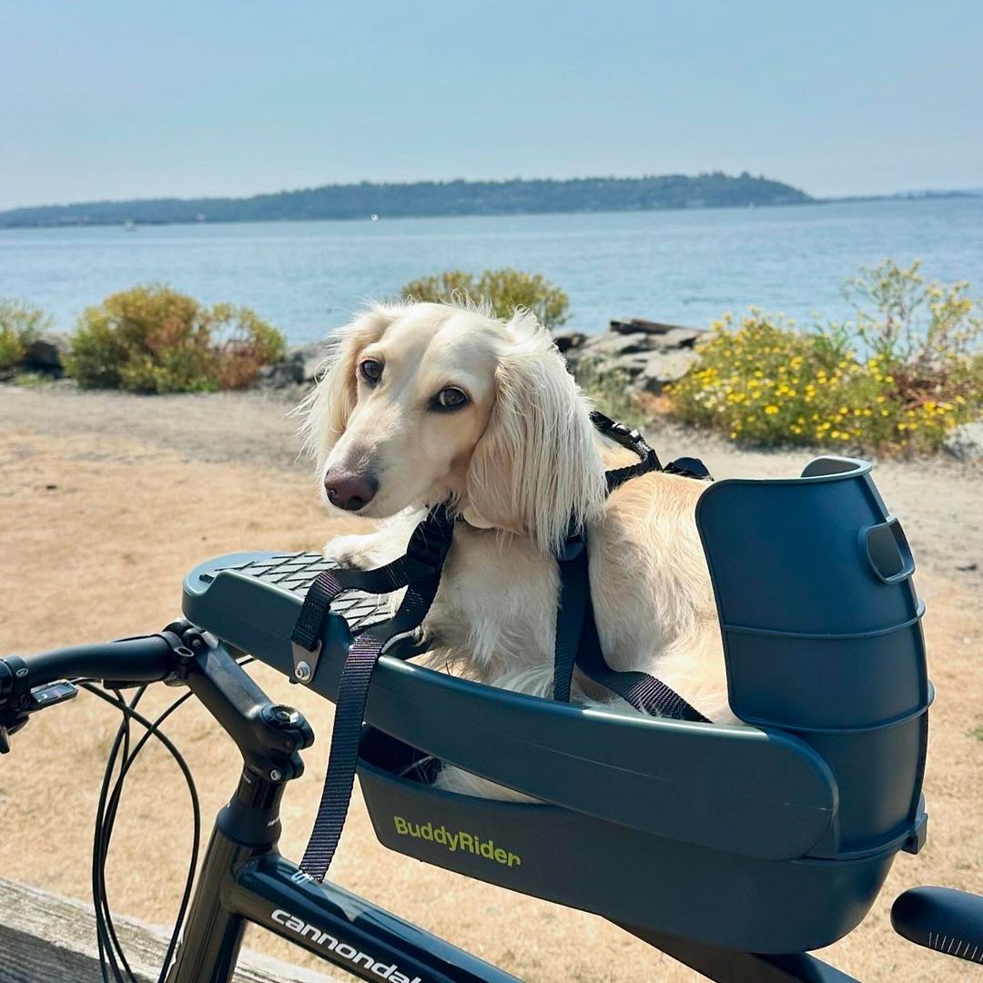 2025 Buddyrider® Series 2 Dog Bicycle Seat