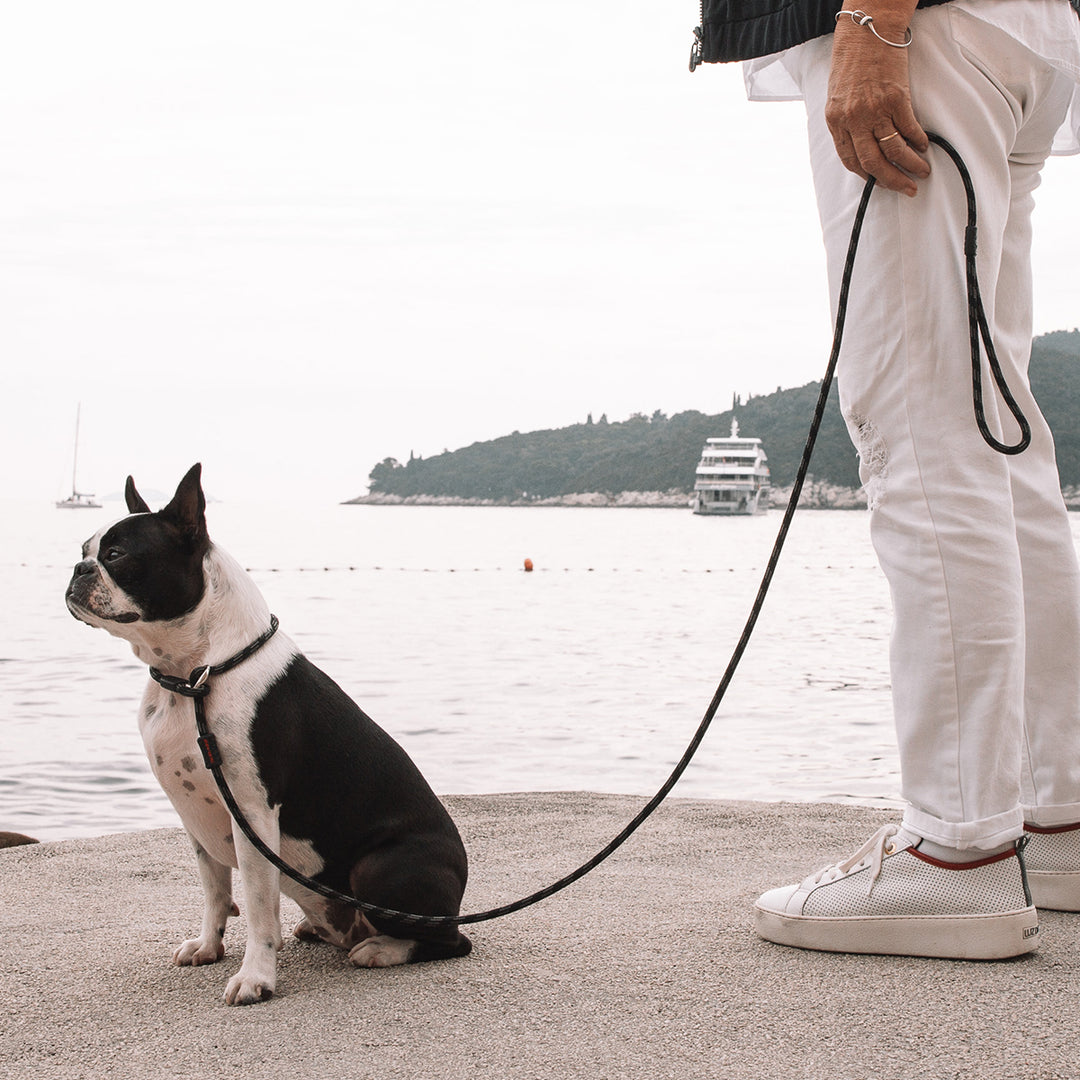 Luca Leash Collar & Leash Combo