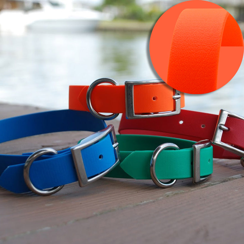 SaltyDog Saltwater Proof Stainless Steel Dog Collars