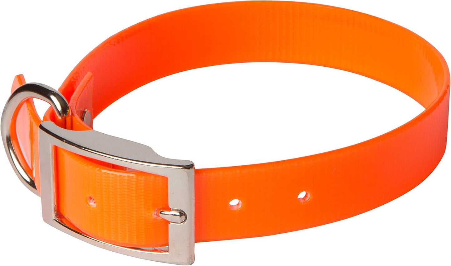 SunGlo Waterproof Dog Collars