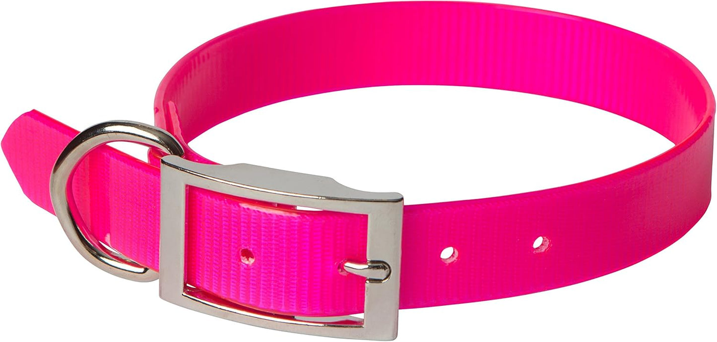 SunGlo Waterproof Dog Collars