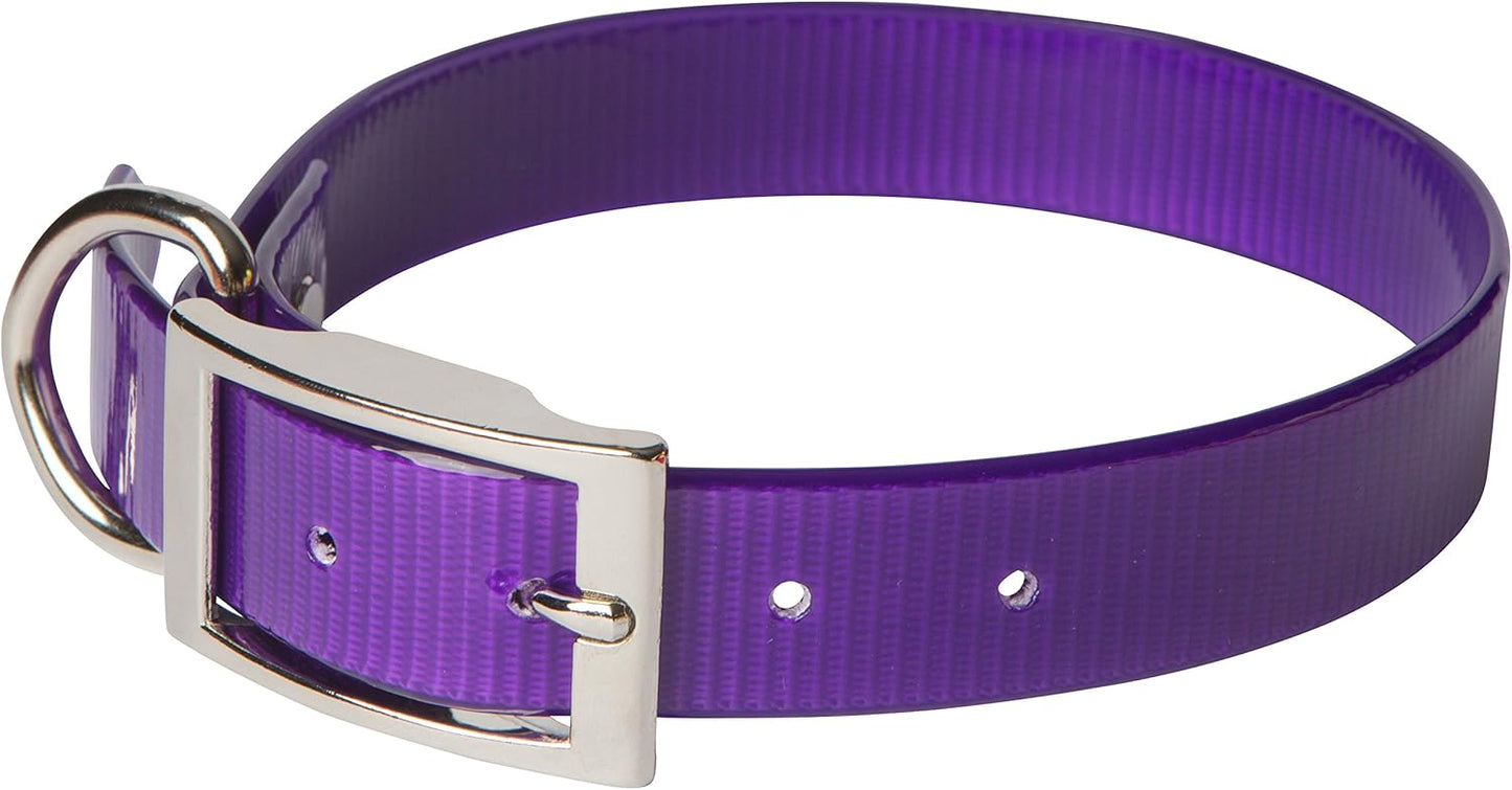 SunGlo Waterproof Dog Collars