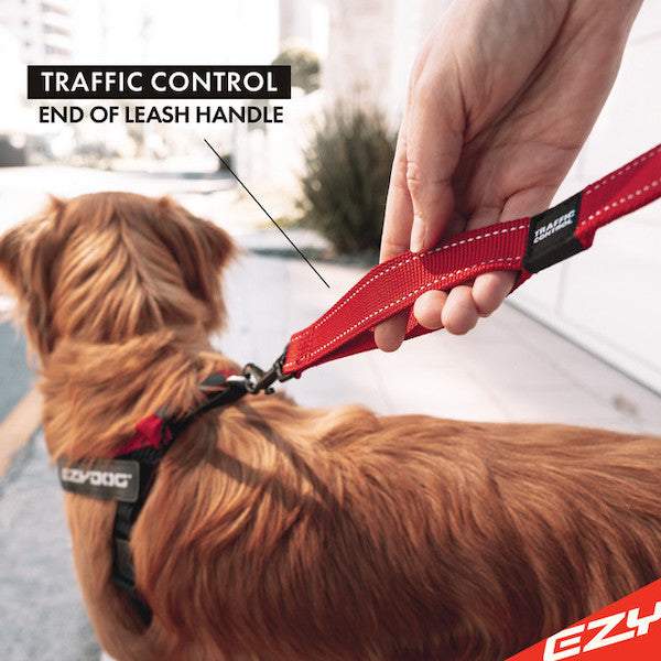 EzyDog Zero Shock Control Leash