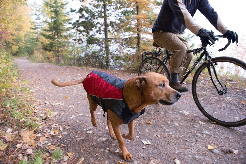 EzyDog Element Jacket - Scarlet Red XL (Customer Return)