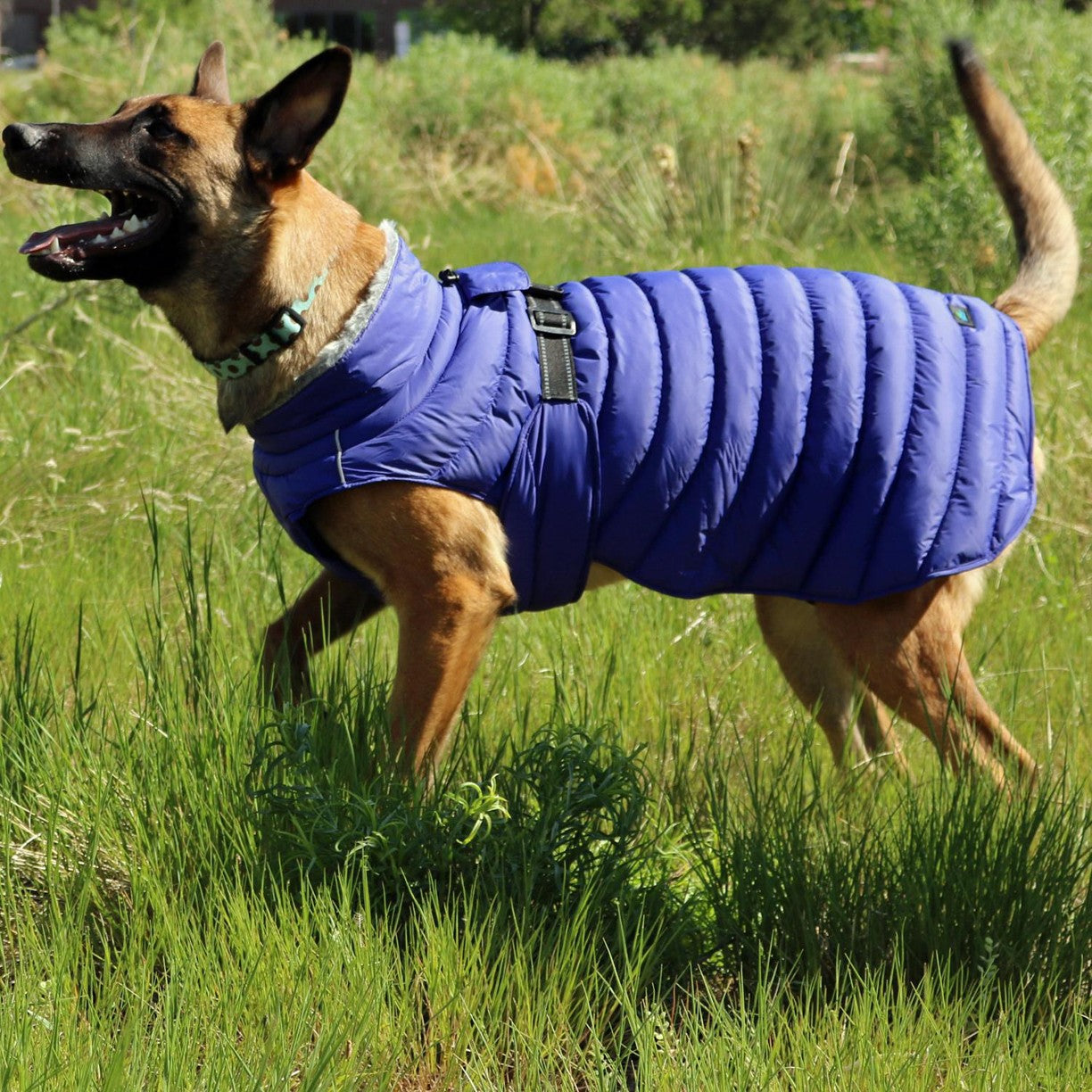 Alpine Dog Puffer Coats - Orange XS (Customer Return)