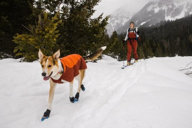 Ruffwear Vert Waterproof Coat - Orange Small (Customer Return)