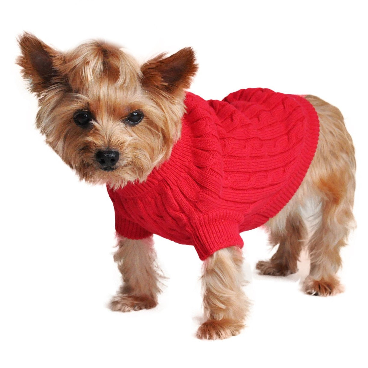 Cable Knit Dog Sweater - Red (Customer Return) XX-Small