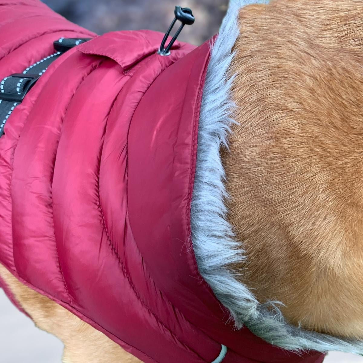 Alpine Dog Puffer Coats - Orange XS (Customer Return)