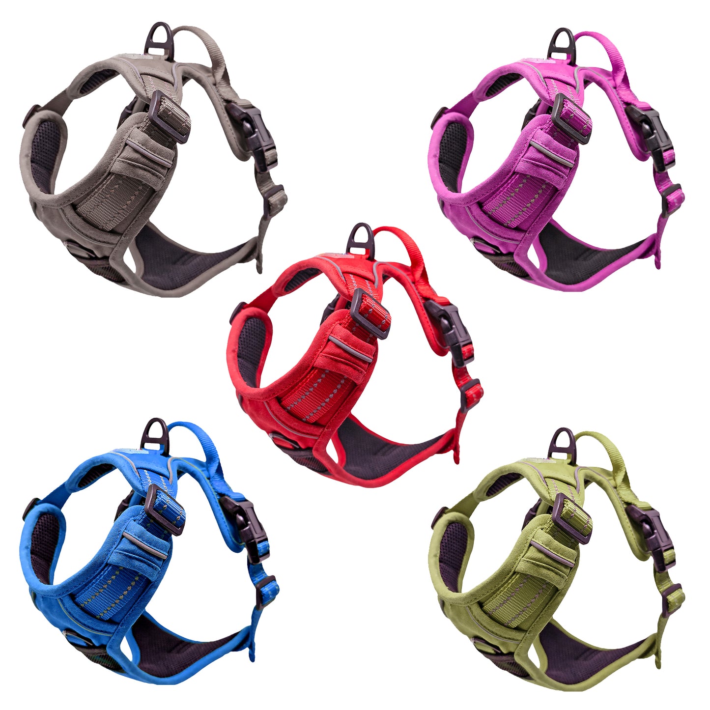 Venture Paw Mesh Lined Dog Harnesses