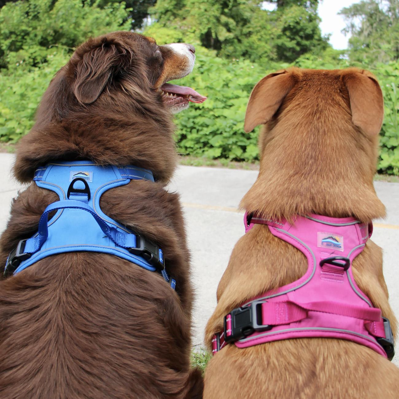 Venture Paw Mesh Lined Dog Harnesses